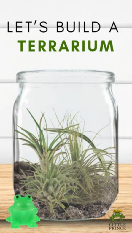Ball Canning Jars